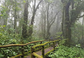 Doi Inthanon National Park