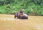 Doi Inthanon National Park