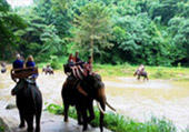 Doi Inthanon National Park