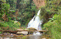 Doi Inthanon National Park