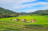 Doi Inthanon National Park