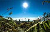 Doi Inthanon National Park