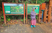 Doi Inthanon National Park