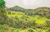 Doi Inthanon National Park