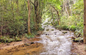 Doi Inthanon National Park