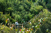 Doi Inthanon National Park