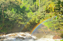 Doi Inthanon National Park