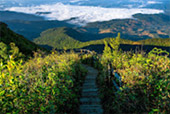 Doi Inthanon National Park