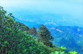 Doi Inthanon National Park