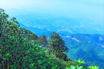 Doi Inthanon National Park