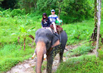 Khao Sok National Park