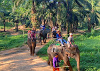 Khao Sok National Park