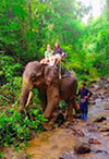 Khao Sok National Park