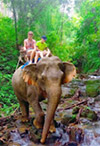 Khao Sok National Park