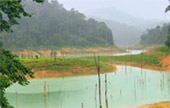 Khao Sok National Park