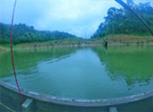 Khao Sok National Park