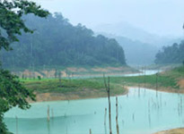 Khao Sok National Park