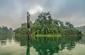 Khao Sok National Park