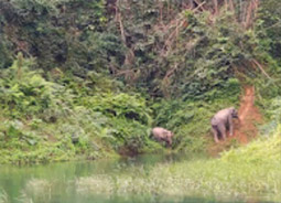 Khao Sok National Park