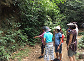 Khao Sok National Park