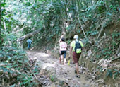 Khao Sok National Park