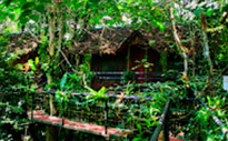 Khao Sok National Park