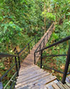 Khao Sok National Park