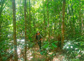 Khao Sok National Park