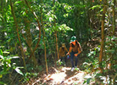 Khao Sok National Park