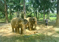 Koh Lanta Archipelago National Park