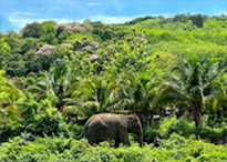 Koh Lanta Archipelago National Park