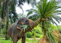 Koh Lanta Archipelago National Park