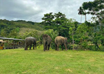 Koh Lanta Archipelago National Park