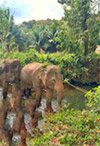 Koh Lanta Archipelago National Park