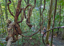 Koh Lanta Archipelago National Park