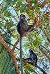 Koh Lanta Archipelago National Park