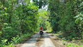 Tarutao National Park