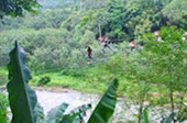 Nature Seek Phang Nga