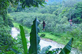 Nature Seek Phang Nga