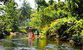 Nature Seek Phang Nga