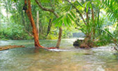 Nature Seek Phang Nga