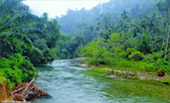 Nature Seek Phang Nga