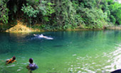 Nature Seek Phang Nga