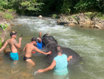 Nature Seek Phang Nga