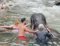 Nature Seek Phang Nga