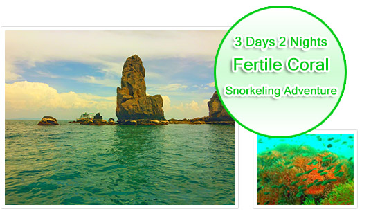 Fertile Coral: 3 days 2 nights.