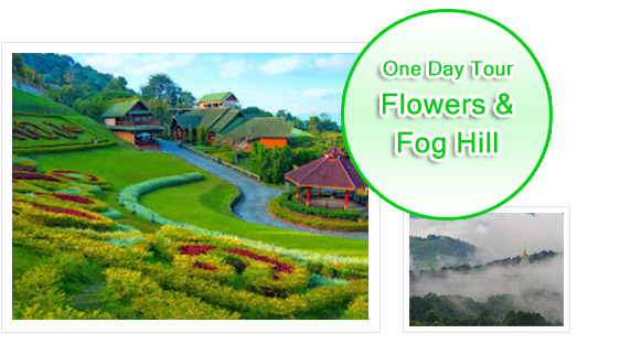Flowers & Fog Hill