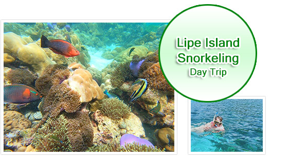 Lipe Island Snorkeling