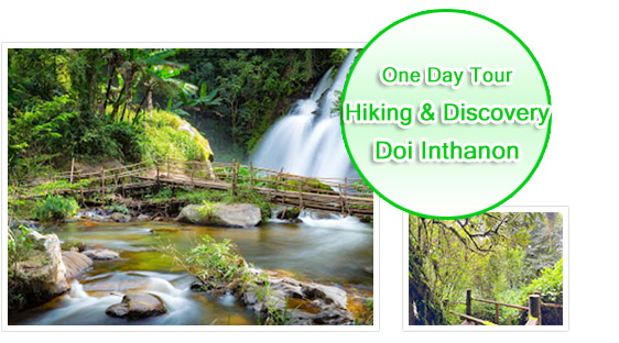 Hiking and Discovery Doi Inthanon