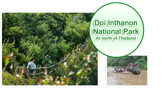 Doi Inthanon National Park